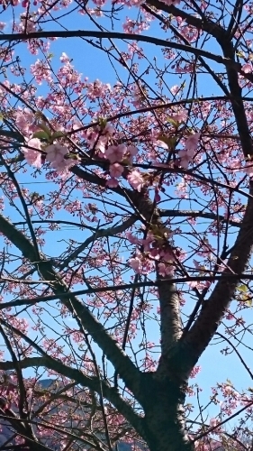 c0132275_09064675.jpg