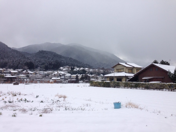 弥生の始まりは雪景色_c0100195_17111284.jpg