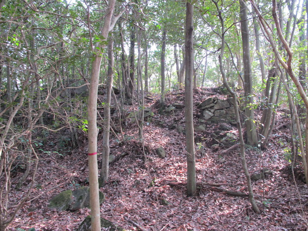 a0166196_9122129.jpg