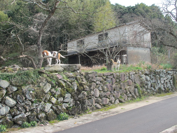a0166196_98211.jpg