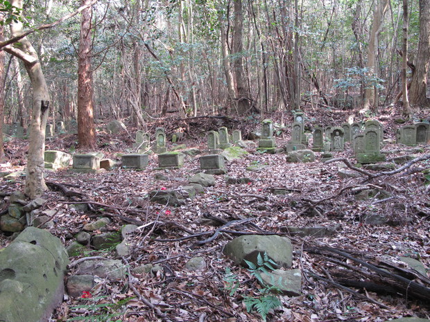 a0166196_99829.jpg