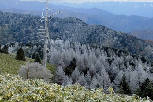 e0304001_20423495.jpg