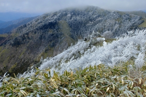 e0304001_20424529.jpg
