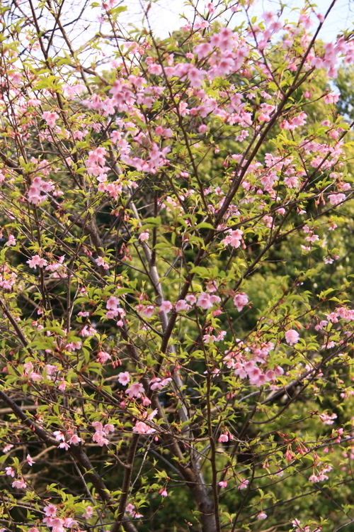 d0248502_00101773.jpg
