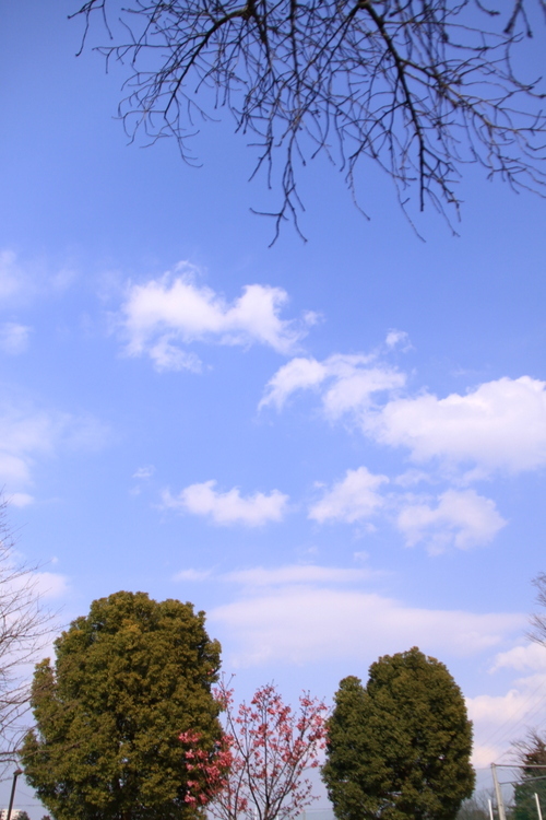 d0248502_06500107.jpg