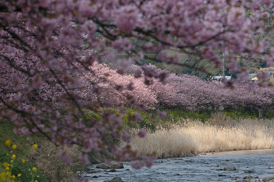 b0315912_22551890.jpg