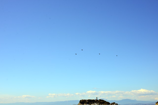 f0046614_1592959.jpg