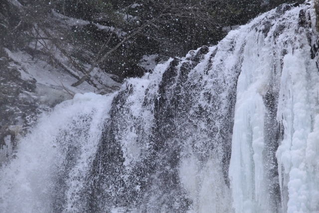 e0242721_920250.jpg