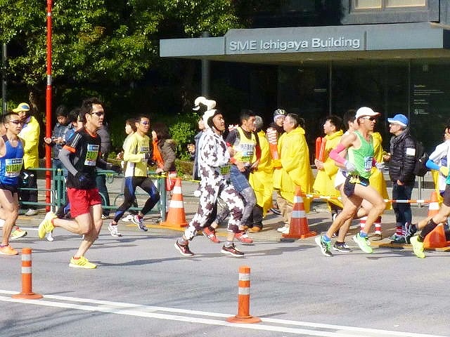 おにゃじ“東京マラソン　２０１６”を走る　part２_b0166128_10453494.jpg