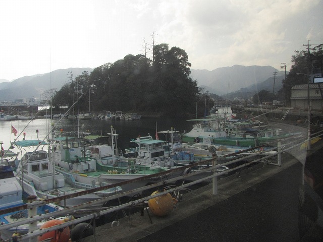 f0054429_1162287.jpg