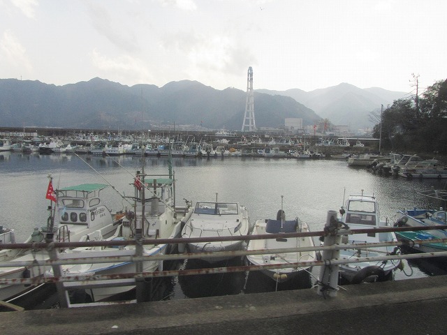 f0054429_1163526.jpg
