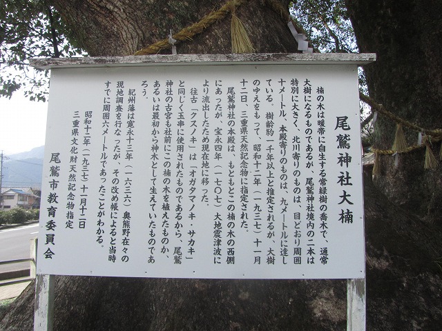 f0054429_1193866.jpg