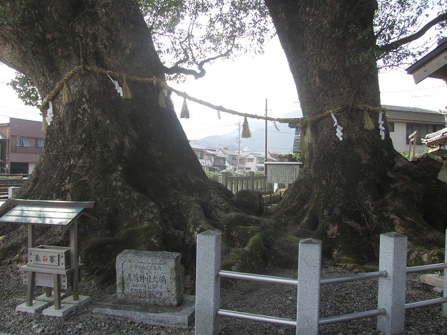 f0054429_119731.jpg