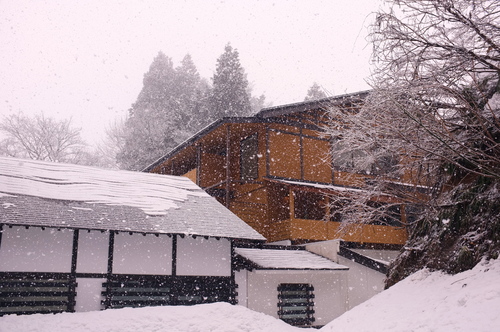 c0308431_1494487.jpg