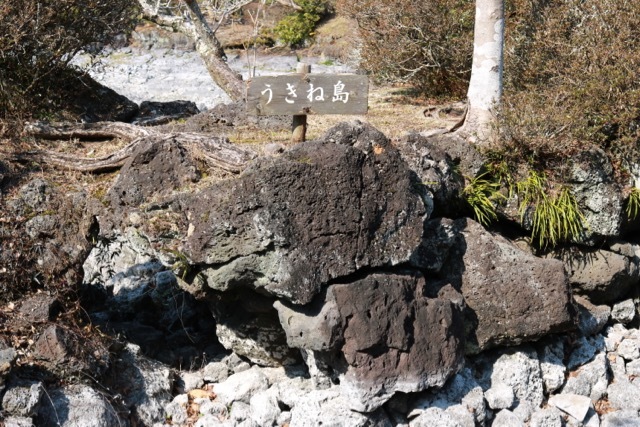 f0348831_07455600.jpg
