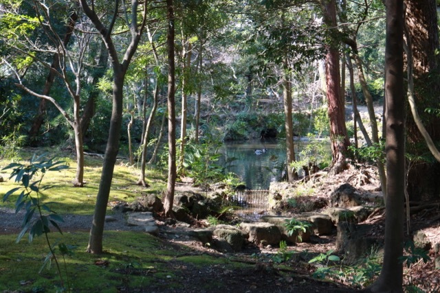 f0348831_07455624.jpg