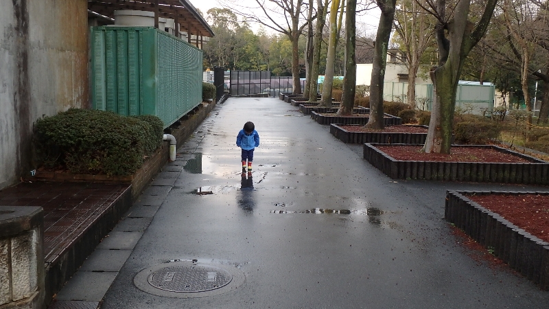 雨 雨 ふれふれ_c0113733_0213579.jpg