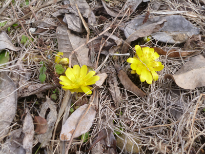 c0343936_2102540.jpg