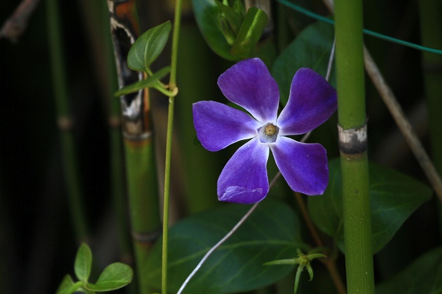 a0242438_20341510.jpg