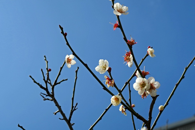 a0242438_20343398.jpg