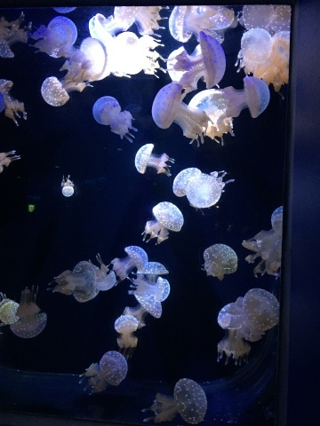 d0282139_02372150.jpeg