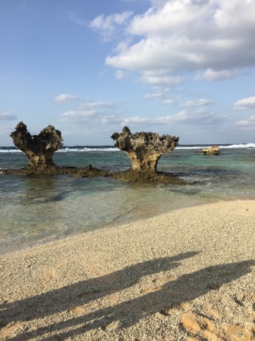 d0282139_02395610.jpeg