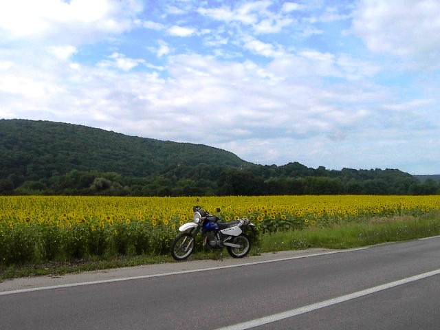 c0011649_20224841.jpg
