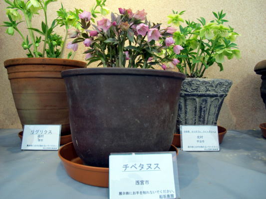 c0147952_0414117.jpg