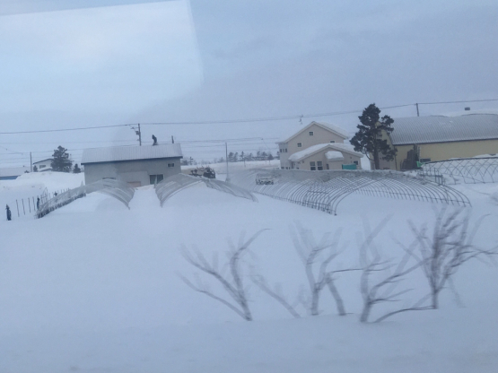 可能性と深川_a0356060_12253393.jpg