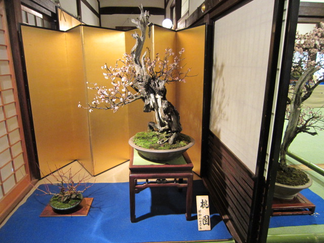f0200477_22182955.jpg