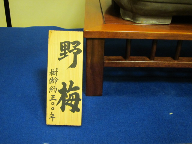 f0200477_22271480.jpg