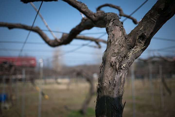 d0353489_02997.jpg