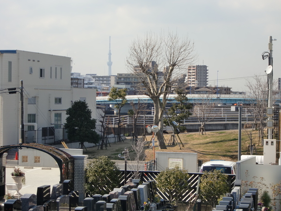 *3月休園日のお知らせ*_b0263390_14511412.jpg