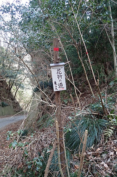 a0339396_21034164.jpg