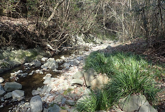 a0339396_21044154.jpg