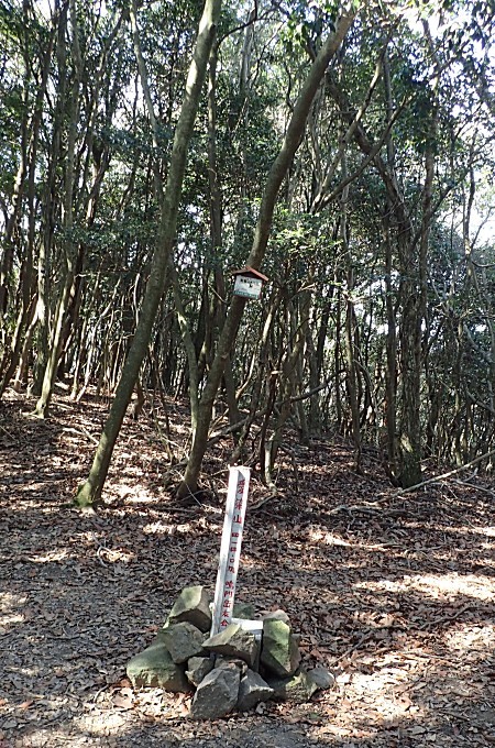 a0339396_21044934.jpg