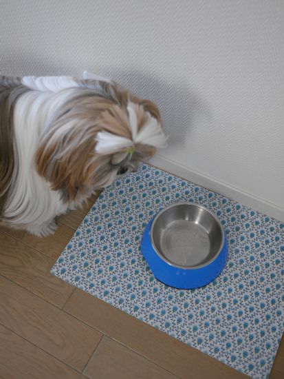お内裏様のブランディ♪_c0090198_19581022.jpg