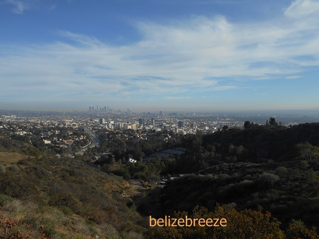 c0322902_22134856.jpg