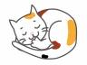むぎ君 新生活スタート!_f0242002_033347.jpg