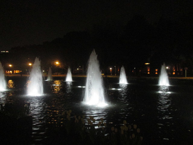 b0203907_23324508.jpg