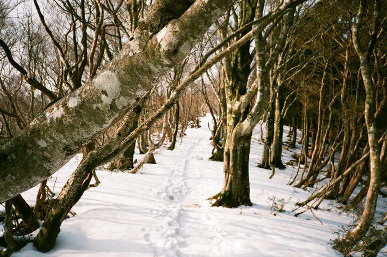 野坂岳　2016.2.28_b0251410_09165687.jpg