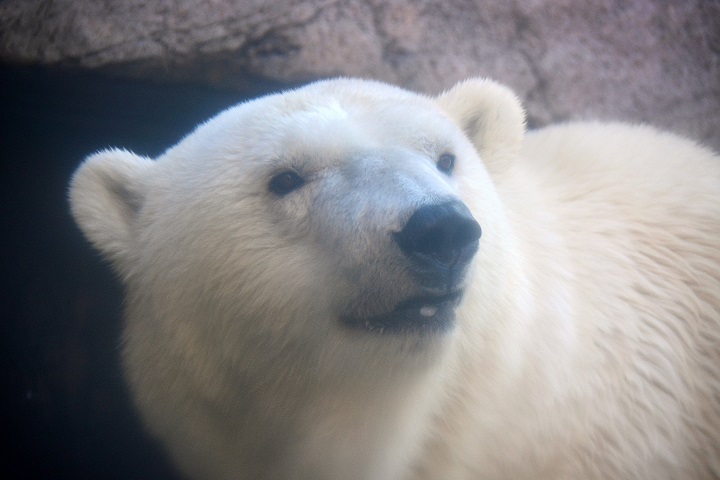 a0151913_425025.jpg