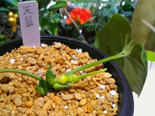 b0099813_032660.jpg