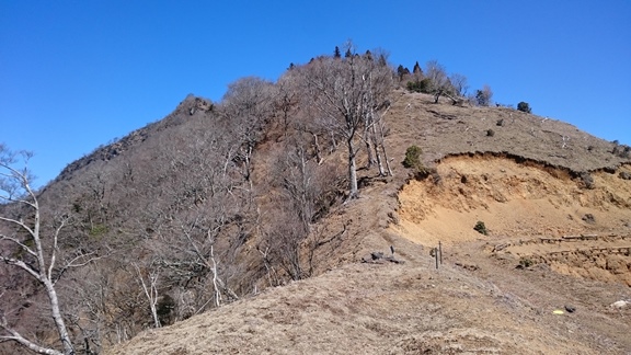 石堂山に登りました_f0076118_1544775.jpg