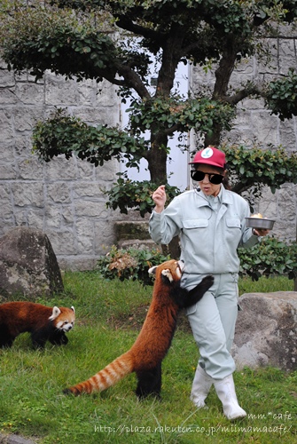 ZOO。_b0351624_20563813.jpeg