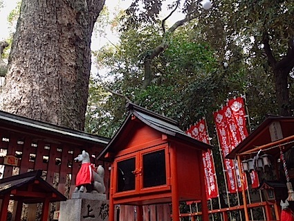 神武の来た道 ㉑ 古代紀の国の楠信仰_a0300530_15551277.jpg