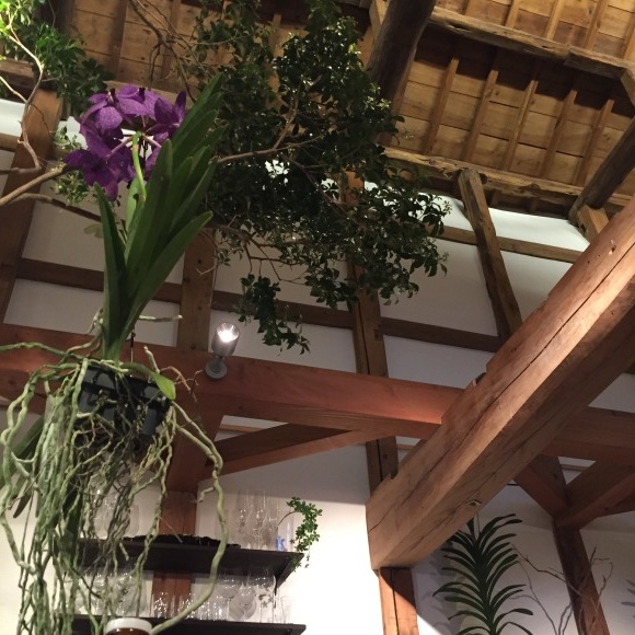 b0321730_17484027.jpeg