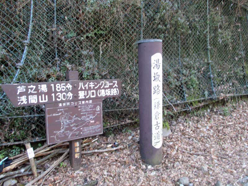 畑宿～鷹巣山～湯坂路（鎌倉街道）歩きました。_d0000031_15321571.jpg