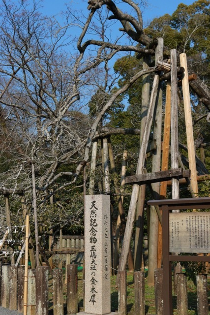 f0348831_21313332.jpg