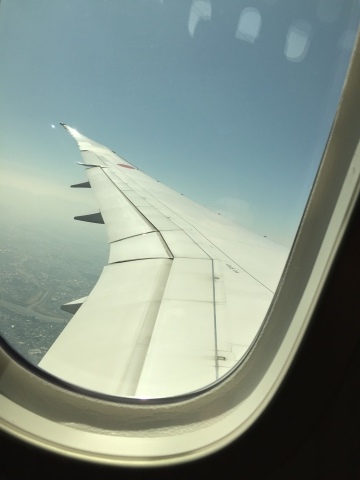 d0282139_13532168.jpeg